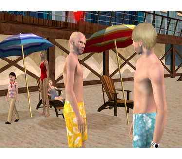 De Sims 3