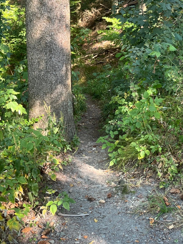 Afbeeldingslocatie: https://tweakers.net/i/jlMbNyDlKWteaFeBaIo2pcD-iGQ=/x800/filters:strip_icc():strip_exif()/f/image/Z3oiRGWPwyyCp5k9yKf36oZf.jpg?f=fotoalbum_large