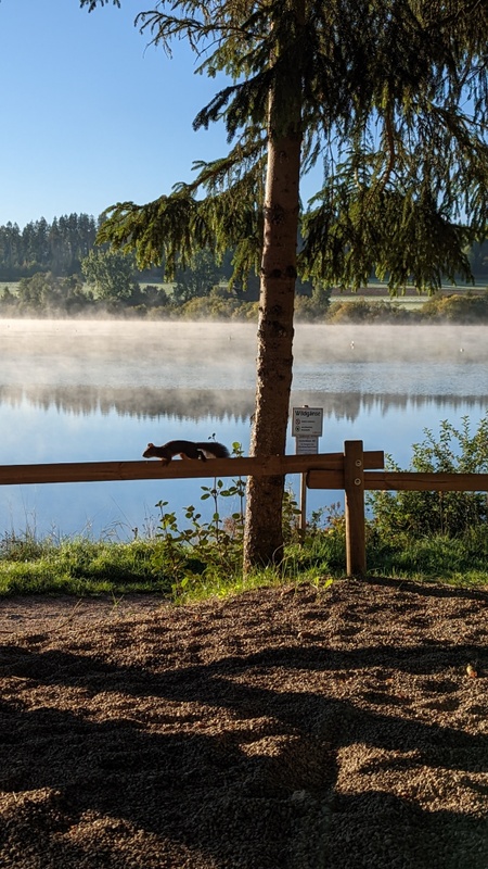 Afbeeldingslocatie: https://tweakers.net/i/joh2SleF48YOjbQWJ40CtdJ2A2Q=/x800/filters:strip_icc():strip_exif()/f/image/HmsdfNEXfNl4nQYha3Qdqclq.jpg?f=fotoalbum_large