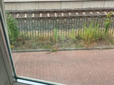 Afbeeldingslocatie: https://tweakers.net/i/jp96PWzknzlffKaLIenfKt4ZId0=/234x176/filters:strip_icc():strip_exif()/f/image/ExNqBrgYxpWd7gpIq8FfAyqS.jpg?f=fotoalbum_medium