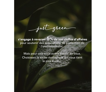 Big Ben JGCOVIP1361B