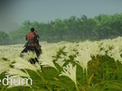 Ghost of Tsushima Director's Cut PC