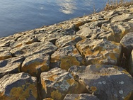 OnePlus 15 cameratest - 2x zoom