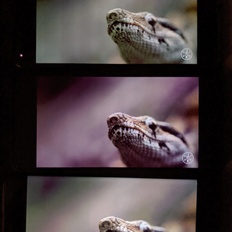 Afbeeldingslocatie: https://tweakers.net/i/jrPehmygXYGn1FC4n_iFBgJuFjA=/232x232/filters:strip_icc():strip_exif()/f/image/ltljHfRLpWbGGwYYCfd6vDWJ.jpg?f=fotoalbum_tile