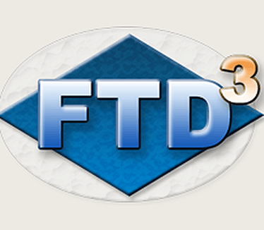 FTD logo (groot)
