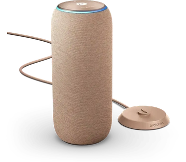 Motorola moto sound flow Bruin