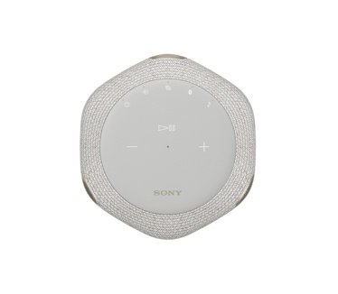 Sony SRS-RA3000 Lichtgrijs