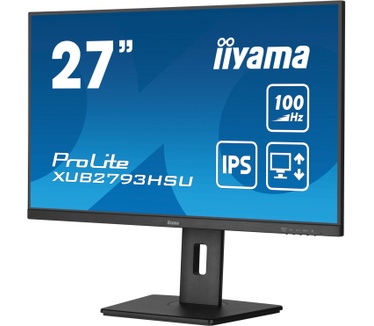 Iiyama PROLITE