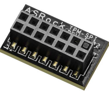 ASRock TPM-SPI