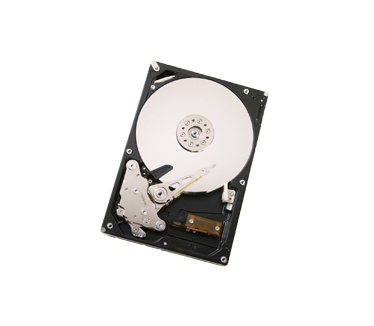Hitachi Ultrastar A7K1000 HUA721050KLA330