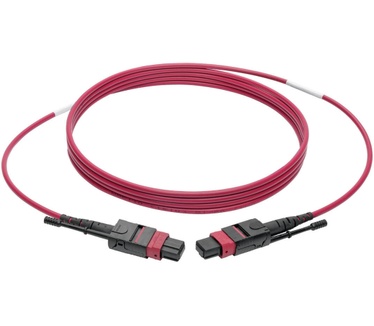 Tripp-Lite N845-02M-12-MG Magenta, Zwart