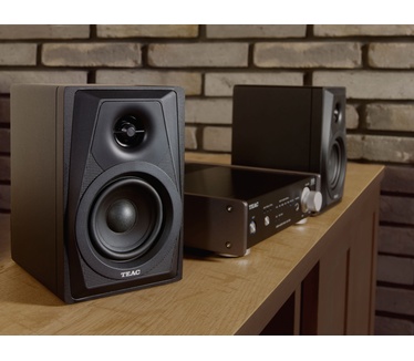 Teac LS-M100