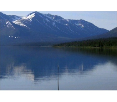 Reel Fishing: Angler's Dream