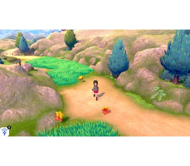 Pokémon Sword, Switch