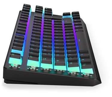 ENDORFY TKL
