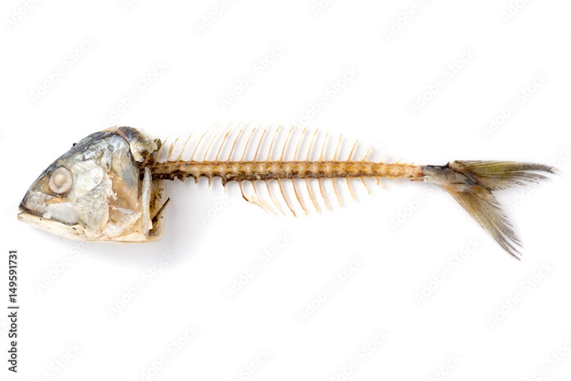 Afbeeldingslocatie: https://tweakers.net/i/k7-1f7TmtXKIwvl03MYIDGK4X84=/800x/filters:strip_icc():strip_exif()/f/image/Rq7p7V9BKG6GdeyBAlXhXSTO.jpg?f=fotoalbum_large