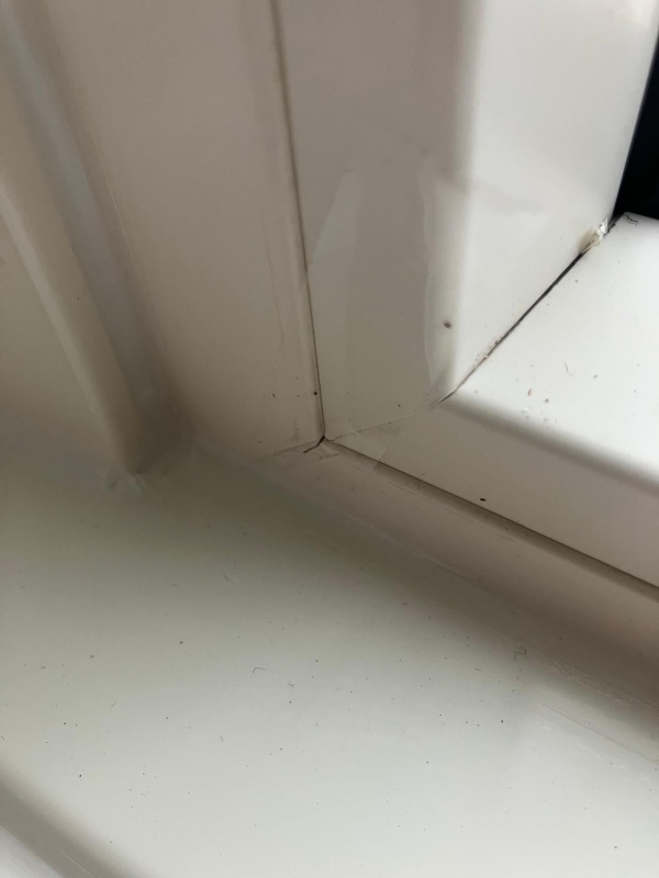 Afbeeldingslocatie: https://tweakers.net/i/k82wBB6-VdAE1InBhV4wehSNuSU=/x800/filters:strip_icc():strip_exif()/f/image/Fosam9jkg8jNNmvKsZ5sjtZ5.jpg?f=fotoalbum_large