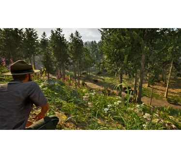 Park Ranger Simulator