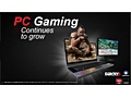 AMD 8000M slides