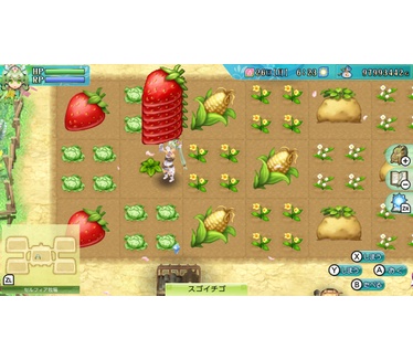 Rune Factory 4: Special, Switch