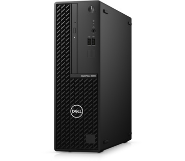 Dell 3090