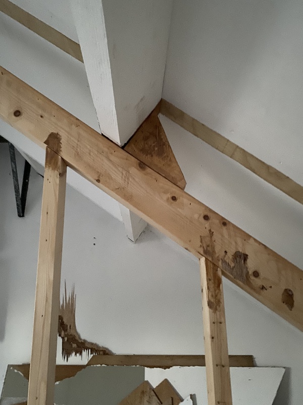 Afbeeldingslocatie: https://tweakers.net/i/kGoRe2xLlxoNCWa_6nqLLBZqNVU=/x800/filters:strip_icc():strip_exif()/f/image/UX9FCd7DbDFQAIwWwIWwAelA.jpg?f=fotoalbum_large