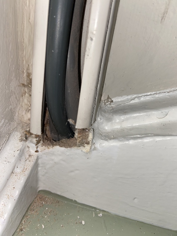 Afbeeldingslocatie: https://tweakers.net/i/kJrB3388yEyG3iQlE8SxvcZ9Xqc=/x800/filters:strip_icc():strip_exif()/f/image/ppDejAuoPIGMGZBy2NFLTpkH.jpg?f=fotoalbum_large