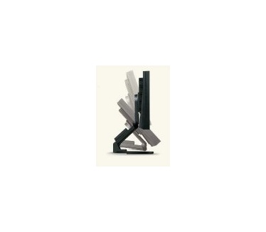 Eizo Flexscan S2201W Grijs, Zwart