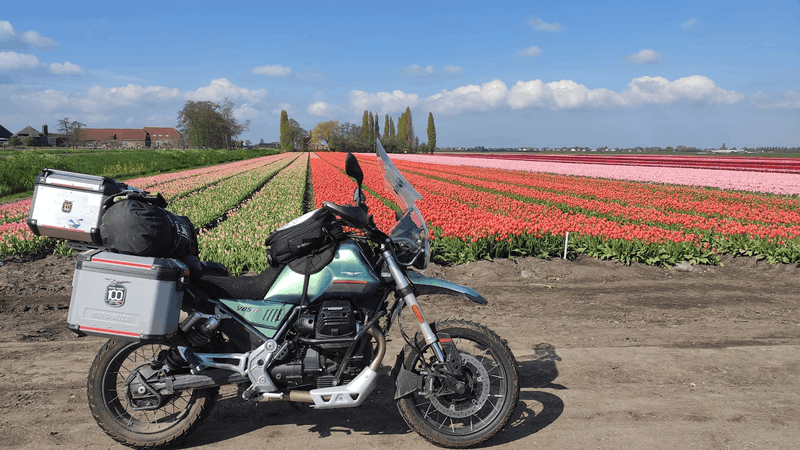 Afbeeldingslocatie: https://tweakers.net/i/kLdPJoNhdP6QDcaNrwZK2Pb0MUQ=/800x/filters:strip_exif()/f/image/l4fpglIjK2vvn7F8CsEf7qHz.png?f=fotoalbum_large