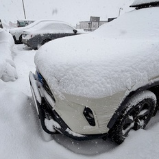 Afbeeldingslocatie: https://tweakers.net/i/kMrUe--ZPSxWdSVsawZ7YN374Yg=/232x232/filters:strip_icc():strip_exif()/f/image/ymXaIhjZxbJ8GjSExiwoeG0X.jpg?f=fotoalbum_tile