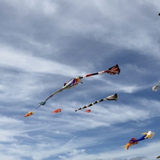 Afbeeldingslocatie: https://tweakers.net/i/kOKXqckgG-5wOzCxvrBnFSNjS80=/232x232/filters:strip_icc():strip_exif()/f/image/nVb83IddXbtSaUs5uWDeXxQ5.jpg?f=fotoalbum_tile