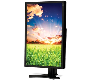 NEC MultiSync P221W Zwart