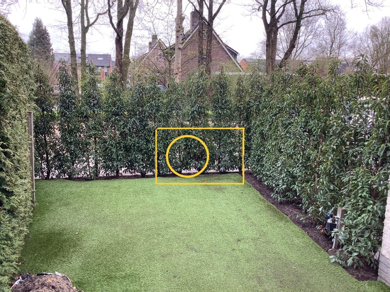 Afbeeldingslocatie: https://tweakers.net/i/kP3pV4cSOEwIJT1dOl8bKCly_lg=/800x/filters:strip_icc():strip_exif()/f/image/Kg8ikcClTIKUUXezsramCwxW.jpg?f=fotoalbum_large