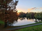 iPhone 12 Pro Max - Foto's overdag (2)