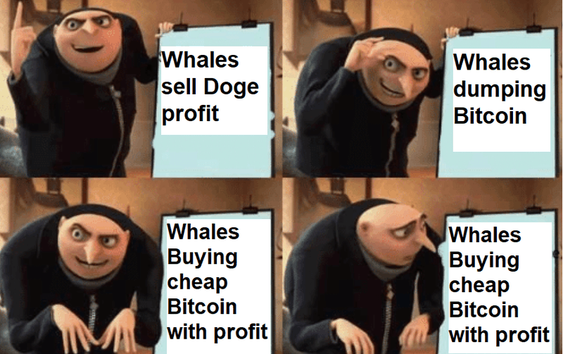Afbeeldingslocatie: https://tweakers.net/i/keTGPSERSPGgQLQn8oV_ZV85_-Y=/800x/filters:strip_exif()/f/image/06CEfFnd1HPw4VF1LDzpdjz4.png?f=fotoalbum_large
