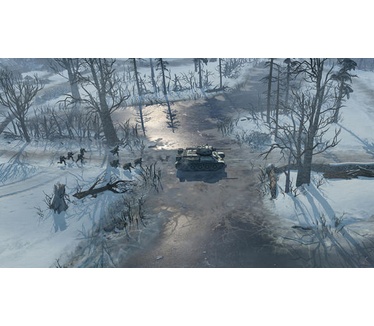 Company of Heroes 2 Platinum Edition, Windows