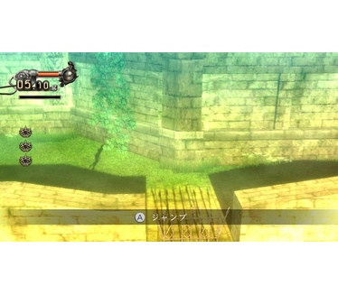 A Shadow's Tale