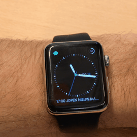 Apple watchOS interface