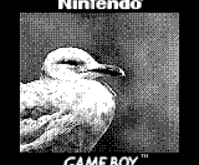 Game Boy Camera foto's
