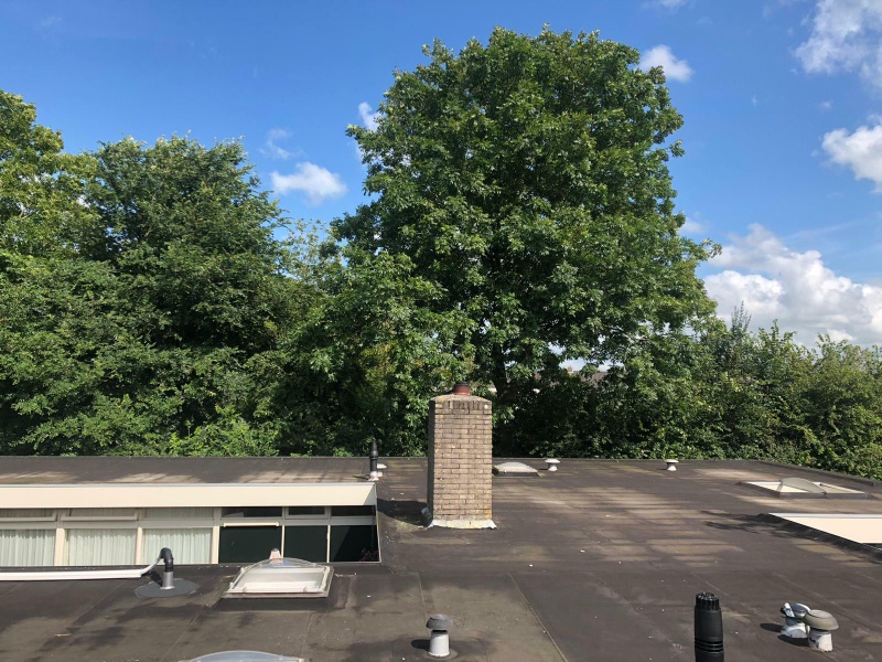 Afbeeldingslocatie: https://tweakers.net/i/kiDAP39_eau1HZX3OdoKAkDcdYA=/800x/filters:strip_icc():strip_exif()/f/image/t6swZ5duMshDTQXrrw9KcwxN.jpg?f=fotoalbum_large