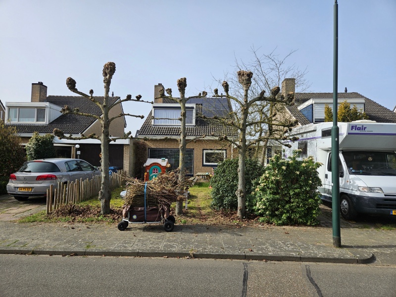 Afbeeldingslocatie: https://tweakers.net/i/kjxHso1nUJzS1wQse9o5jr1xkcc=/800x/filters:strip_icc():strip_exif()/f/image/rLQ3d9ffjTnIVZKLmfCyHPQu.jpg?f=fotoalbum_large