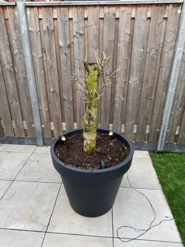 Afbeeldingslocatie: https://tweakers.net/i/kk7-JfhueNeHyTSvN0I9HZqQGTM=/x800/filters:strip_icc():strip_exif()/f/image/DDChKc1BpSuquEwoQd5e5SAS.jpg?f=fotoalbum_large