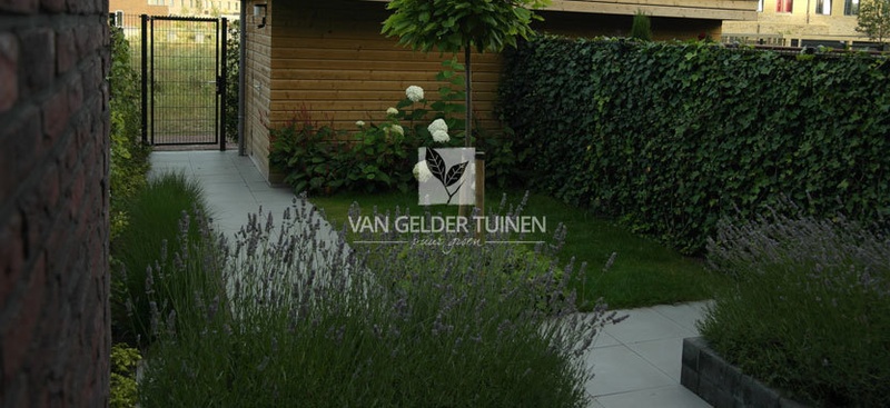 Afbeeldingslocatie: https://tweakers.net/i/kmc8sjGT0y4hrxopakVDZU10OBE=/800x/filters:strip_icc():strip_exif()/f/image/FrfddTU0sD1zFkztnNUZC3eC.jpg?f=fotoalbum_large