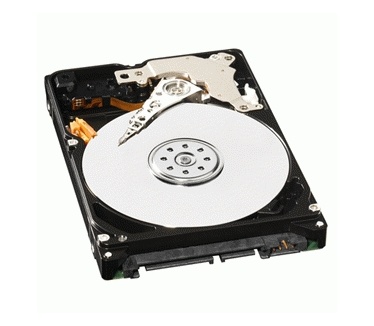 Western Digital
