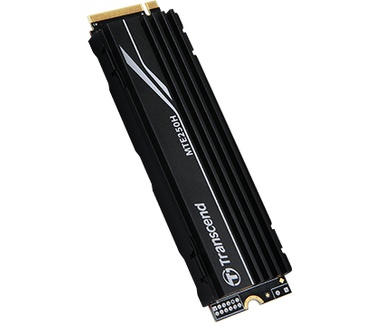 Transcend MTE250H