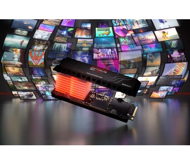 Sandisk Optimus GX PRO 850X