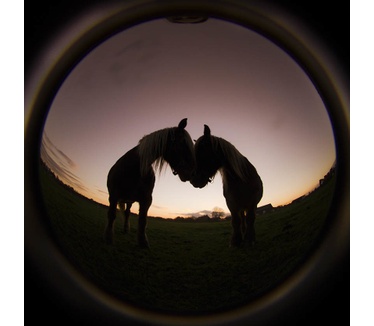 Lensbaby Circular Fisheye