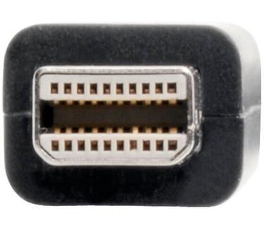 Tripp-Lite P137-06N-DVIB