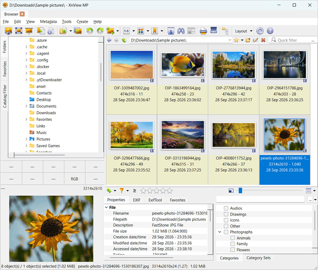 XnView MP