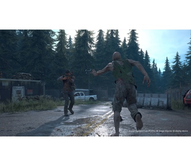 Days Gone, PS4